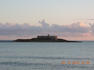 DSCN6172